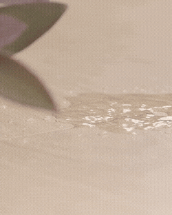 Dark wood flooring in contemporary kitchen designed for durability and resistance to moisture exposure