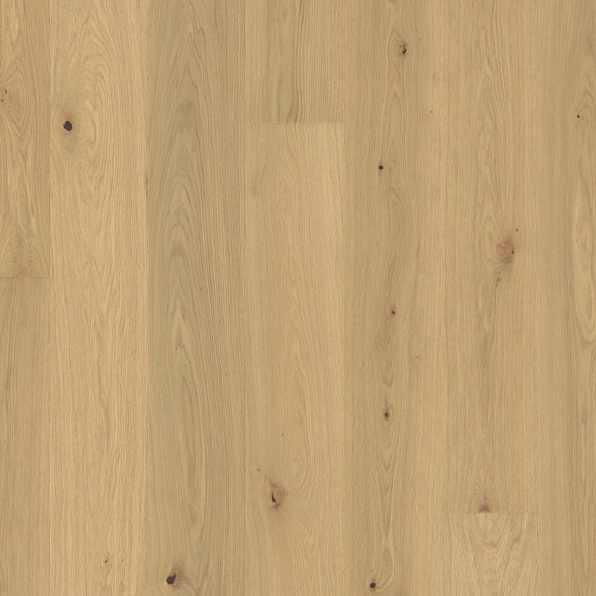Bahamas | Oak | Elevation