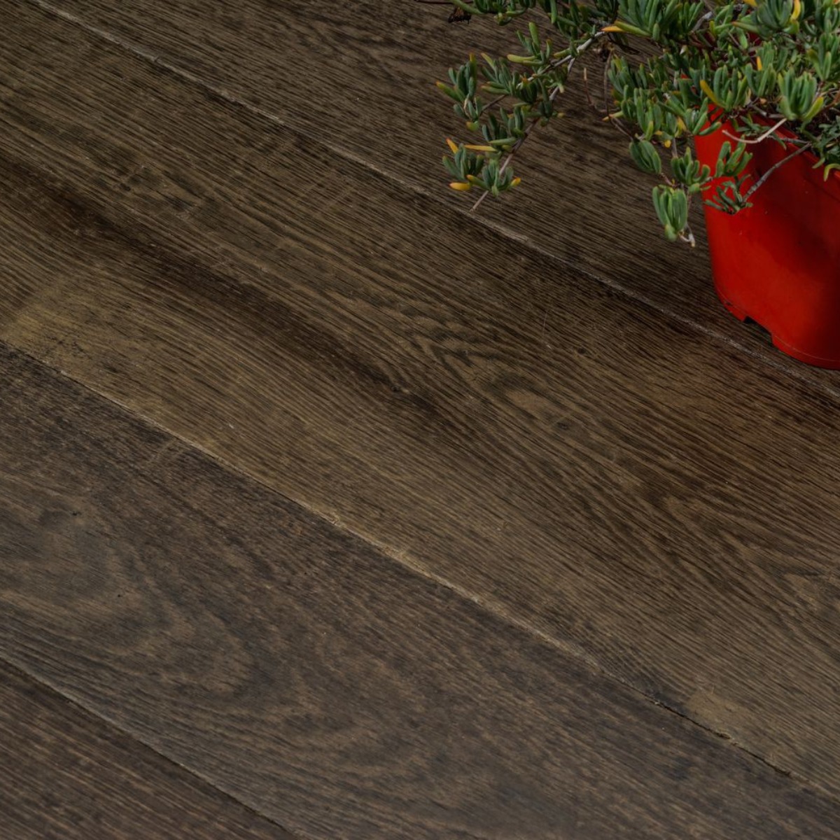 Black Chestnut | French Oak | Campagne - Image 2