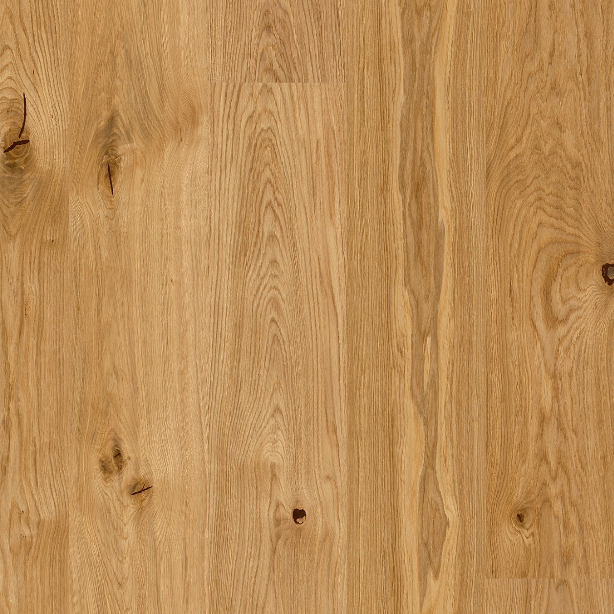 Elba | Oak | Elevation