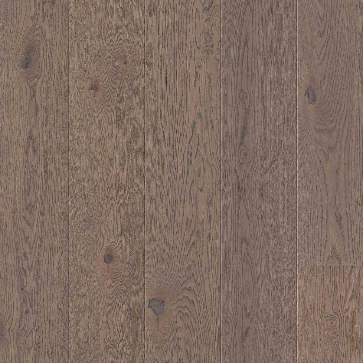 Hawaii | Oak | Elevation