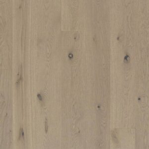 Lacoste | Oak | In Stock
