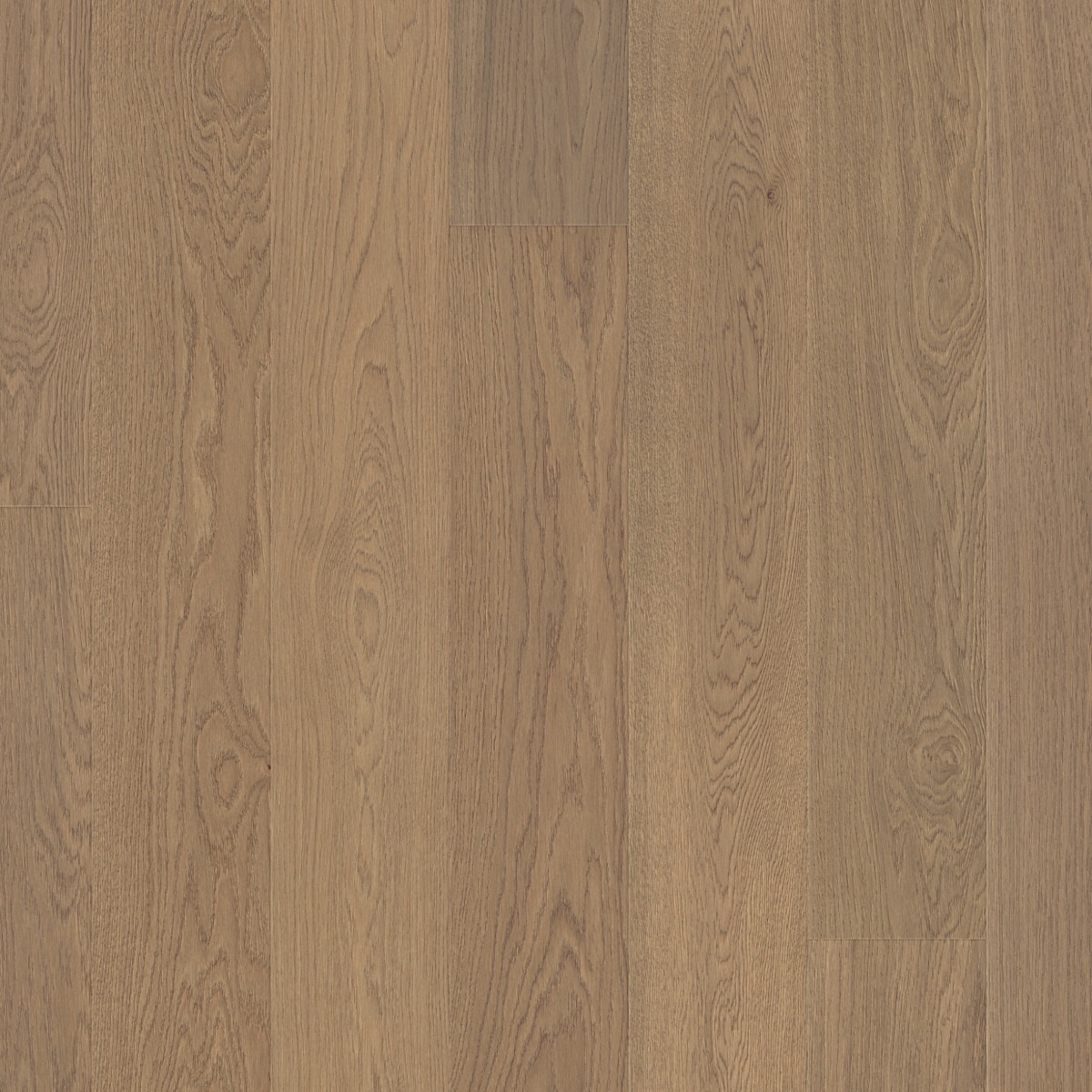 Paros | Oak | Elevation