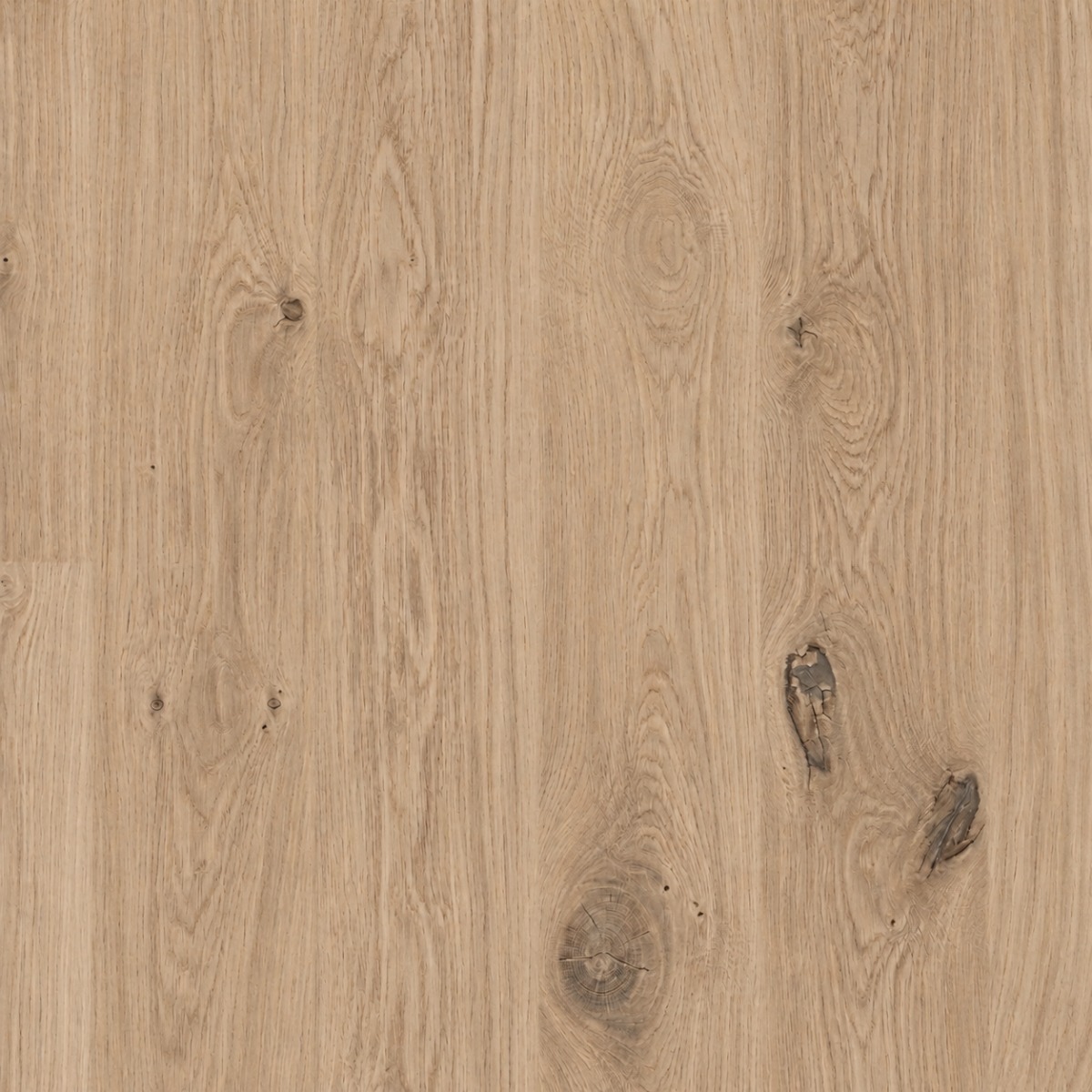 Perla | Oak | In Stock
