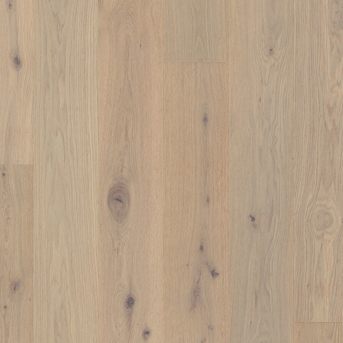 Sansibar | Oak | Elevation