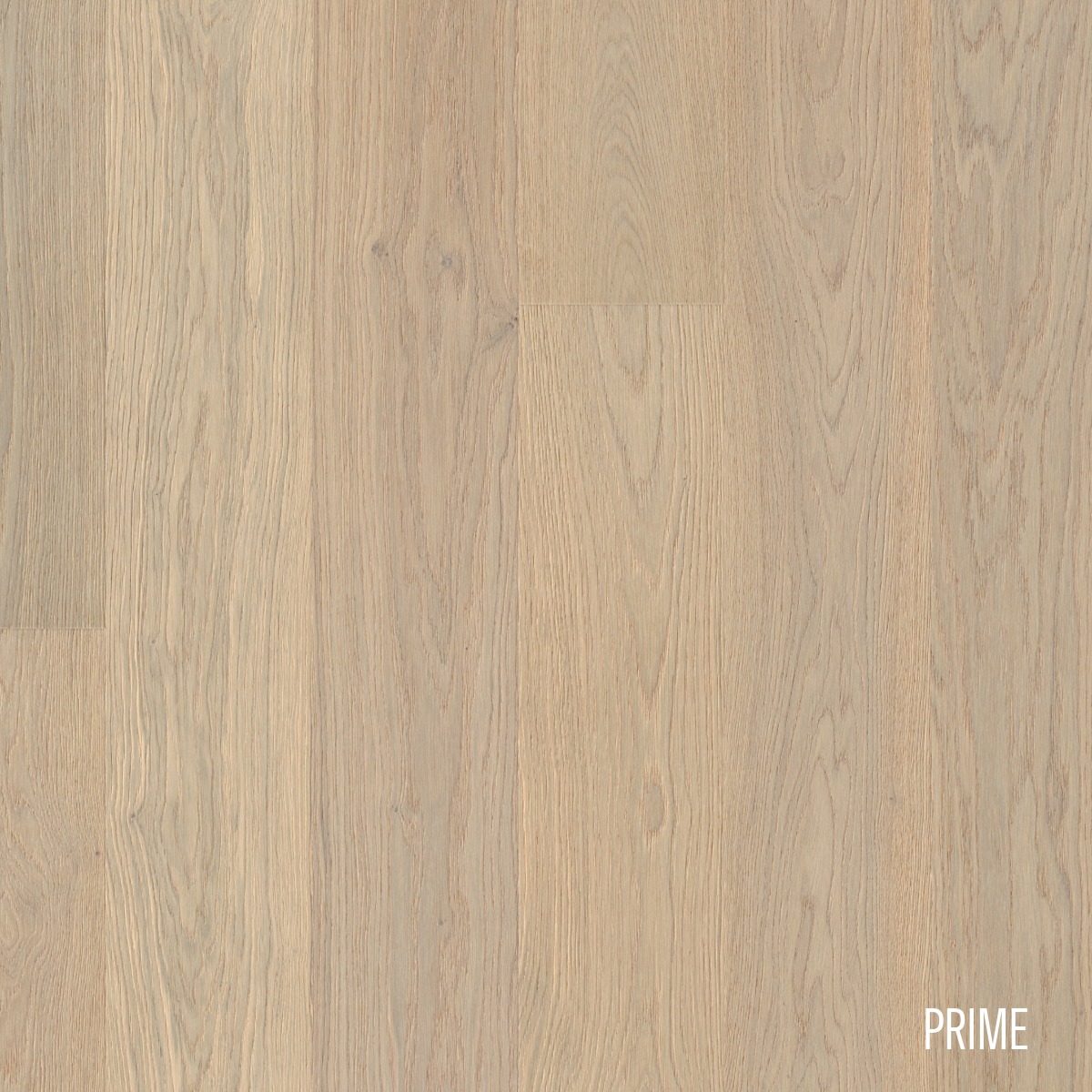 Sansibar | Oak | Elevation - Image 4