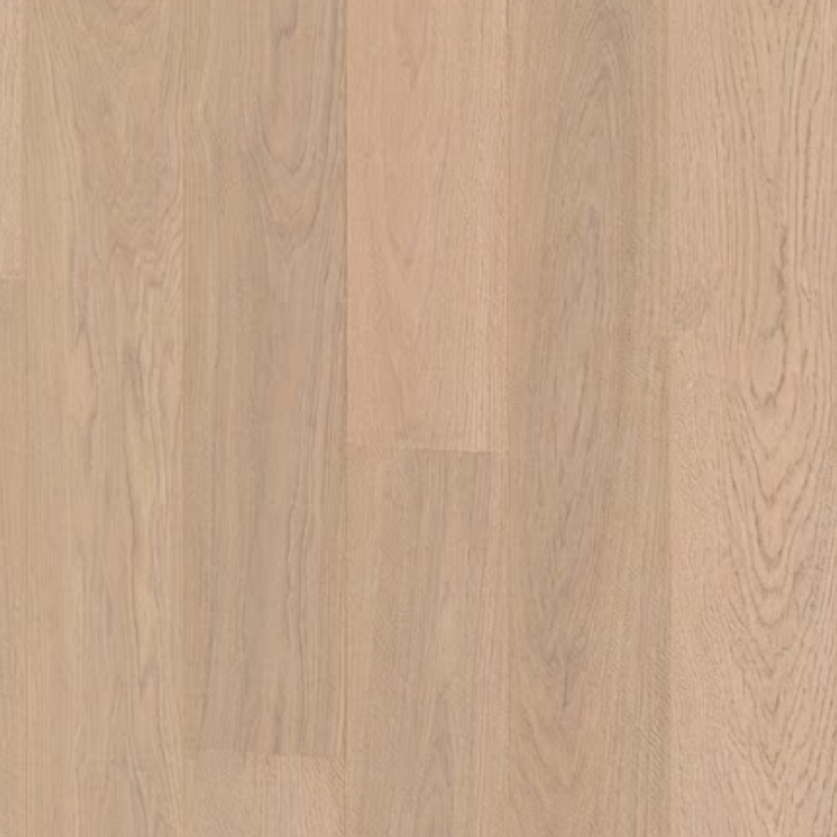 Bianca | Oak