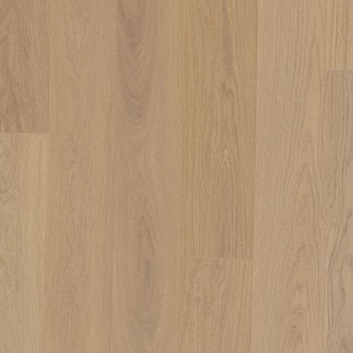 Nebla | Oak