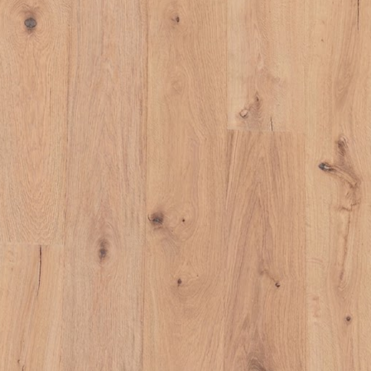 Perla | Oak