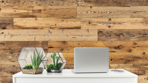 A minimalist workspace featuring a laptop and two geometric planters on a white desk against a rustic wood wall.